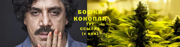 apvp Туринск