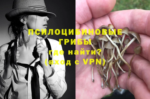 apvp Туринск