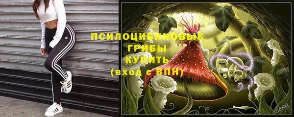 MESCALINE Тында