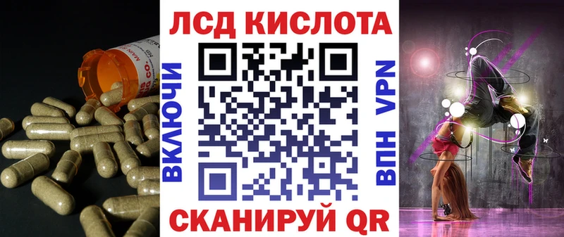 Купить закладки  Лермонтов  LSD-25 экстази ecstasy 